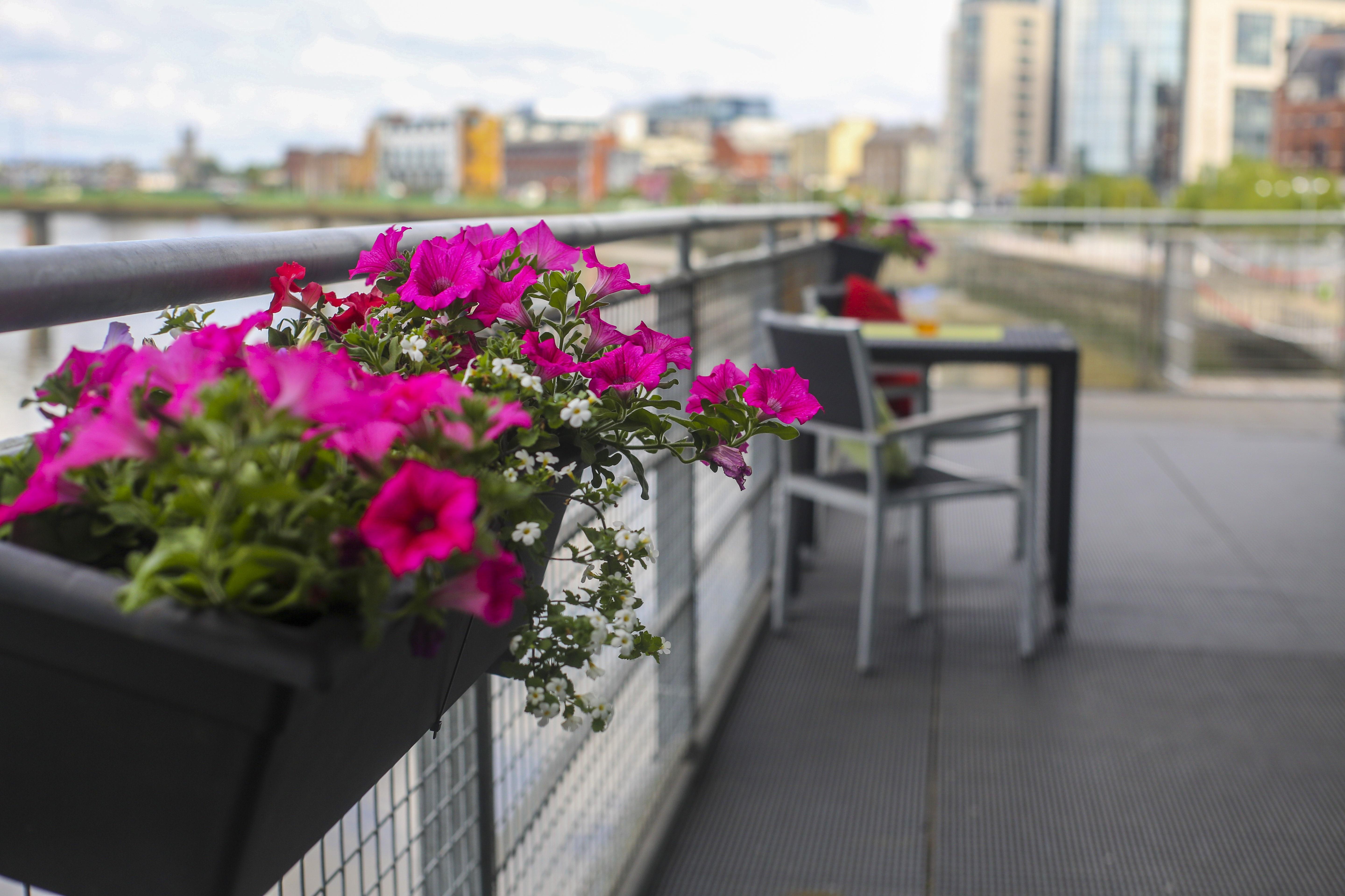 Clayton Hotel Limerick Junction Exteriér fotografie